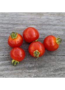 Tomate cerise AB