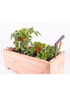 carré fantastik - JUNIOR - carré potager en bois écoresponsable pour terrasse. Fabriqué en France.