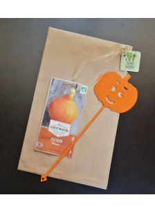 PACK Gribouille la citrouille