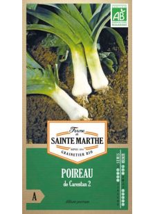 Poireau de Carentan 2 AB