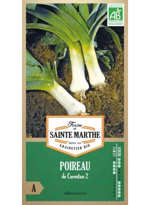 Poireau de Carentan 2 AB
