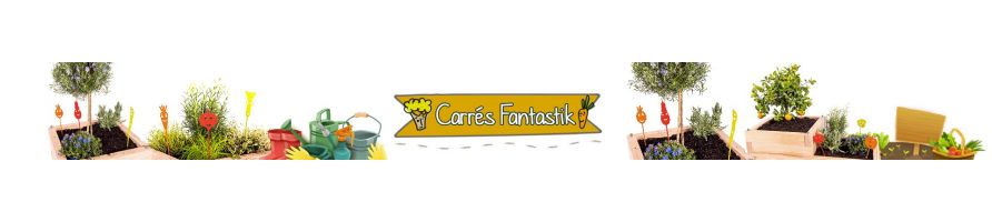 Carrés fantastik