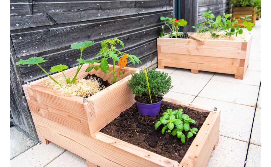 Quel terreau choisir pour votre bac potager ? Remplissez votre