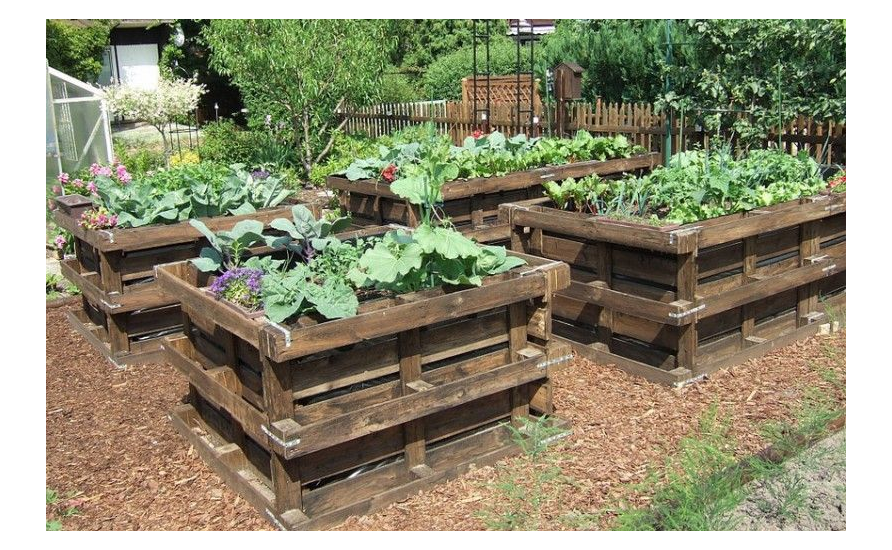 Comment faire un potager dans un bac?